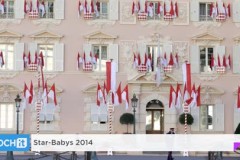 Die Star-Babys 2014 Die Star-Babys 2014