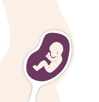 15. SSW: Das Baby kann jetzt hören 15. SSW: Das Baby kann jetzt hören