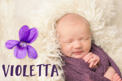 Blumige Mädchennamen: Violetta Blumige Mädchennamen: Violetta