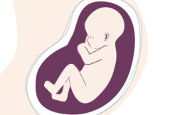 25. SSW - Sie spüren das Baby treten 25. SSW - Sie spüren das Baby treten