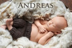 Andreas Andreas