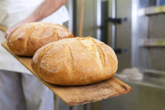 Ernährungsweisheiten: Brot Ernährungsweisheiten: Brot