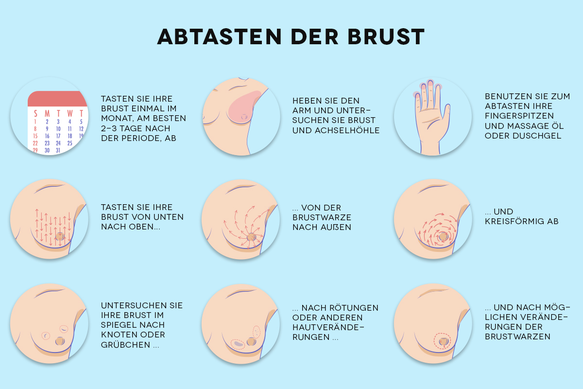 Abtasten der Brust Abtasten der Brust
