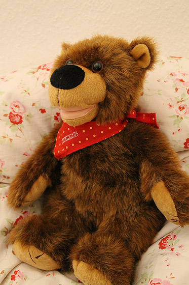 Brummel der Geschichtenbär Brummel der Geschichtenbär