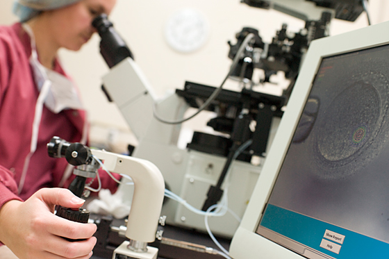 In-Vitro-Maturation In-Vitro-Maturation