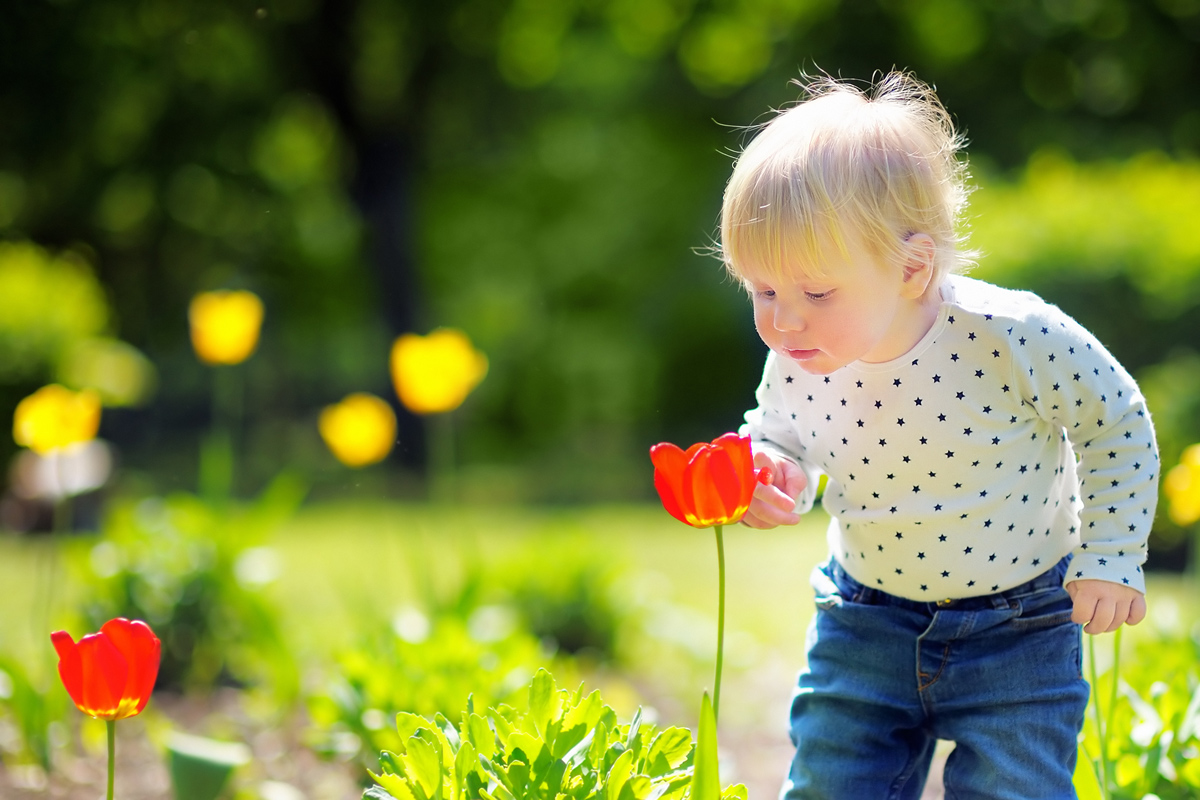 Kind mit Tulpe Kind mit Tulpe