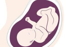 32. SSW - Test auf Hepatitis B 32. SSW - Test auf Hepatitis B
