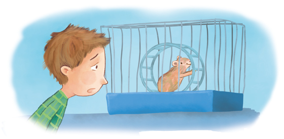 Vorlesegeschichte Hamster Vorlesegeschichte Hamster