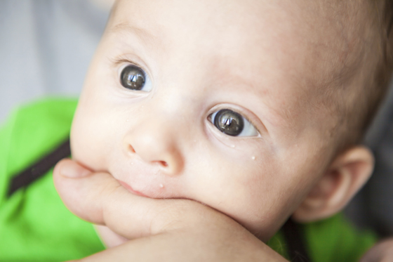 Baby nimmt alles in den Mund Baby nimmt alles in den Mund
