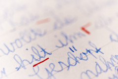 Das große Rechtschreibquiz Das große Rechtschreibquiz