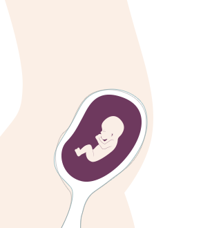 12. SSW: Dein Baby hat jetzt häufig Schluckauf. Es trainiert seine Atmung.