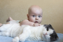 Baby und Katze: Das geht! Baby und Katze: Das geht!