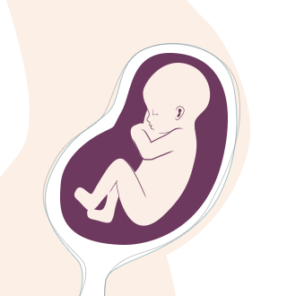 25. SSW: Das Baby tritt von Tag zu Tag stärker und du kannst es endlich richtig spüren.