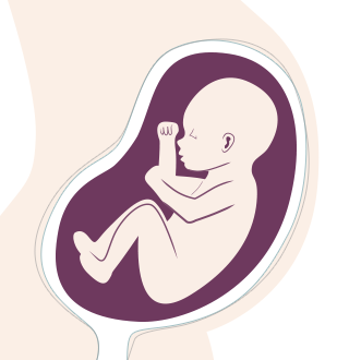 29. SSW: Der letzte Ultraschall steht an und dein Baby macht dafür extra lustige Grimassen.