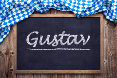 Gustav Gustav