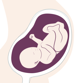 32. SSW: Das Baby sammelt erste Erinnerungen.
