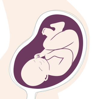 35. SSW: Der Platz ist zu eng geworden, das Baby kann sich nicht mehr viel bewegen. Dafür aber umso heftiger treten.