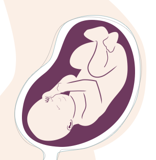 38. SSW: Die Knochen des Babys härten aus. Iss jetzt mehr Kalzium.