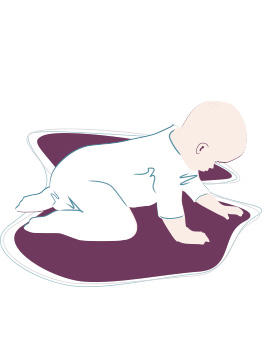 Baby-Entwicklung: 8. Monat