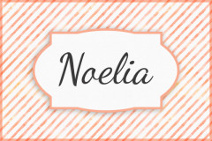 Noelia Noelia