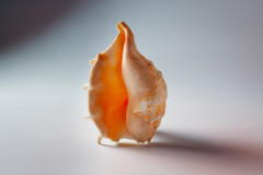 Vaginalstraffung nach der Geburt Vaginalstraffung nach der Geburt