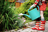 Gartenarbeit Juni Juli