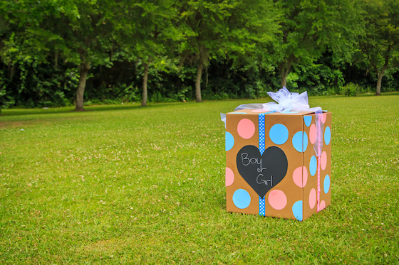 Gender Reveal Party