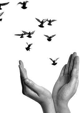 Fingerspiel: Fingerlein wollen Vögel sein