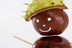 Kastanienmännchen