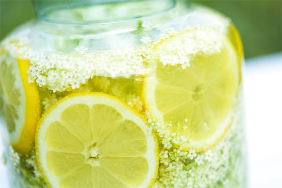 Holunderblütensirup selbermachen