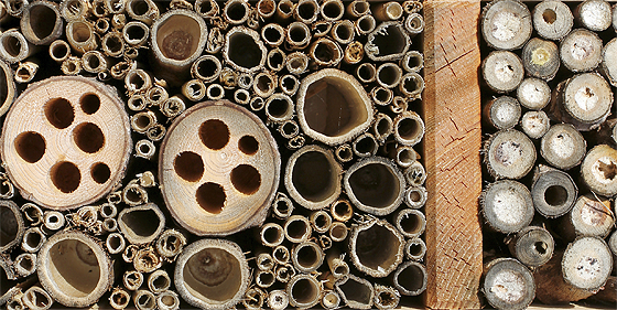 Insektenhotel