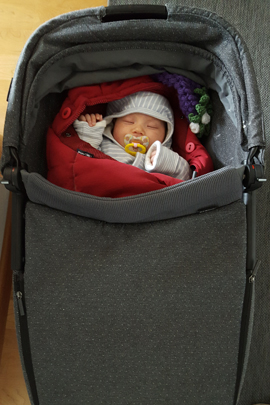 Maxi Cosi STella Kinderwagenaufsatz