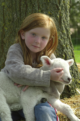 Kind mit Lamm auf Pellworm