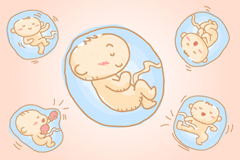 Wie entwickelt sich das Baby im Mutterleib? Wie entwickelt sich das Baby im Mutterleib?