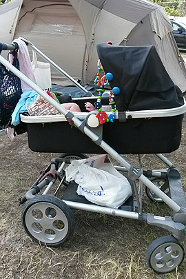 Kinderwagen Seed Papilio