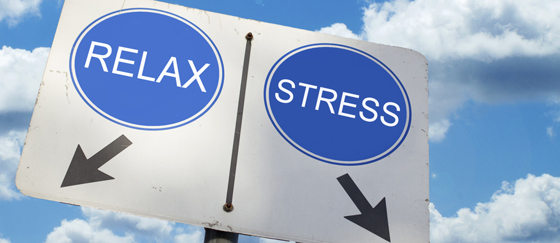 Stress bestimmt das Geschlecht