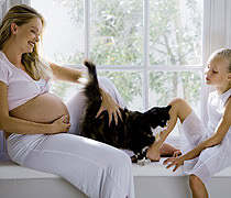 Tiere in der Familie