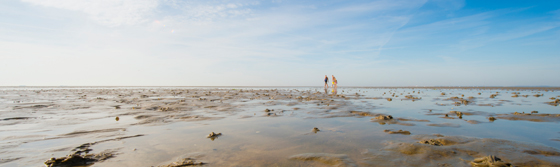 Weites Wattenmeer bei Ebbe vor der Insel Foehr