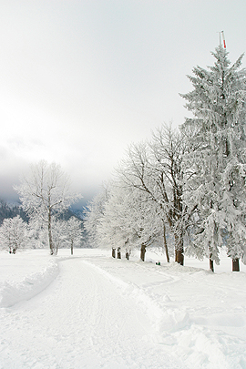 Weihnachtsgedichte: Weihnachtsschnee