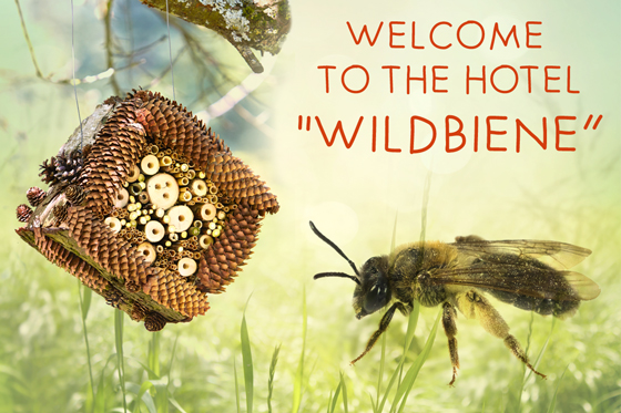 Wildbienenhotel bauen