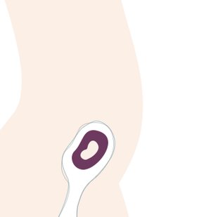10. SSW: Das Baby hat die Embryonal-Phase abgeschlossen. Alle wichtigen Organe und Körperteile sind angelegt.