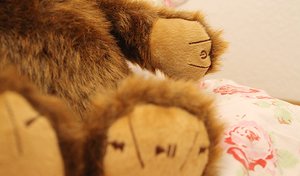 Nahaufnahme von Brummels Pfoten mit Power-Knopf