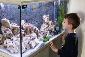 Aquarium