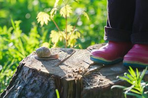 Alltag im Waldkindergarten: Keine Berührungsängste mit Mutter Natur.