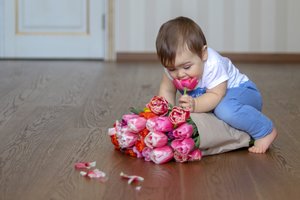 Ein kleines Kind knabbert an Tulpen